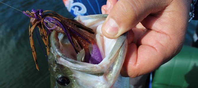 4 Claves para pescar black bass en marzo